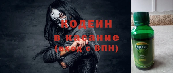 стаф Бородино