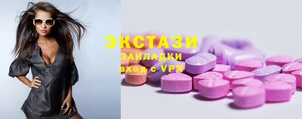 стаф Бородино