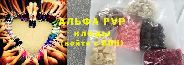 стаф Бородино