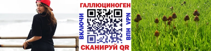 гидра как войти  где найти наркотики  Дагестанские Огни  Псилоцибиновые грибы мицелий 