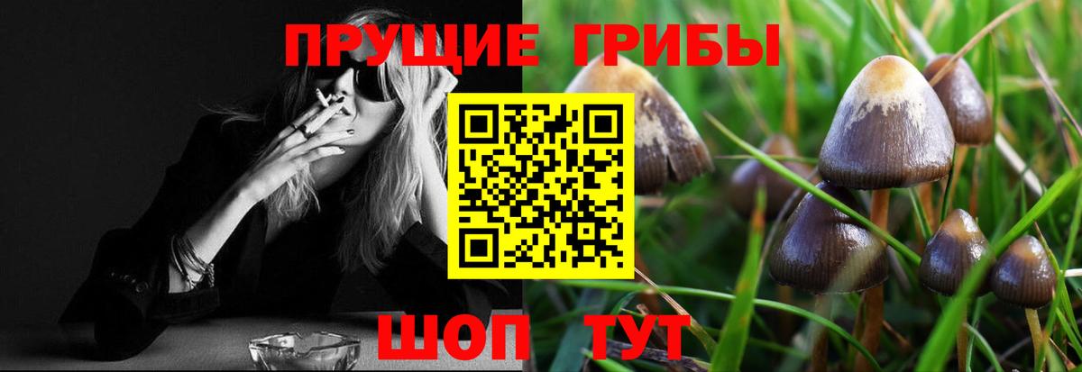 Дагестанские Огни  Псилоцибиновые грибы Cubensis  наркота  Вход с VPN  Галлюциногенные грибы прущие грибы 