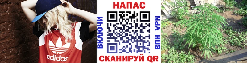 Шишки марихуана Ganja  Дагестанские Огни 